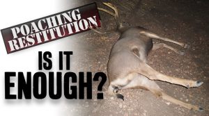 Poaching Restitution: Is It Enough?