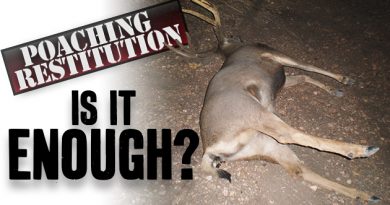 Poaching Restitution: Is It Enough?