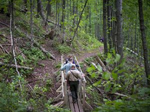 Senate bills would give Michigan parks, trails slice of robust state trust fund