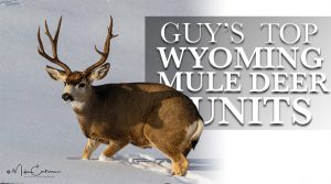 Guy’s Top Wyoming Deer Hunts: 2018 Edition
