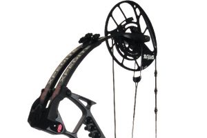 Bow Review: PSE Xpedite