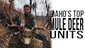 Idaho’s Best Mule Deer Units
