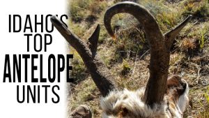 Idaho’s Best Antelope Units