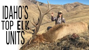 Idaho’s Top Elk Units!