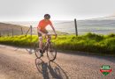 Picking A Road Bike