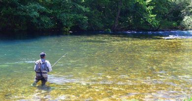 How to Start Fly Fishing – The Ultimate Guide Start Fly Fishing