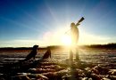 Reasons Why You Should Buy Hunting Land